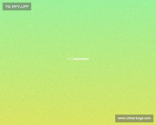 2017年足协杯决赛第二回合比分