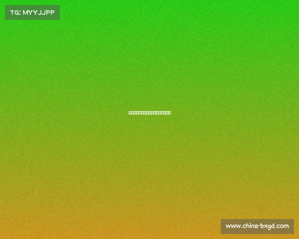 亚足联青年锦标赛点燃亚洲足球新希望