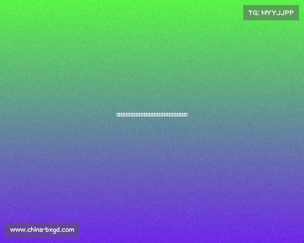 夏洛特黄蜂队本赛季职业篮球赛事专辑深入解析球队表现与亮点 夏洛特黄蜂队本赛季职业篮球赛事专辑深入解析球队表现与亮点